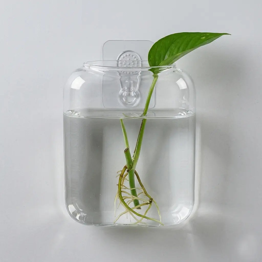 Set of 2 Clear Glass Wall Hanging Planters for Hydroponic Propagation - Elegant Terrarium Vases for Home, Office, and Garden Decor