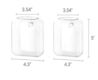Set of 2 Clear Glass Wall Hanging Planters for Hydroponic Propagation - Elegant Terrarium Vases for Home, Office, and Garden Decor